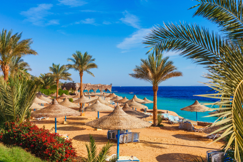 Egypt Sharm el Sheikh 500x334 shutterstock_1464915755.jpg