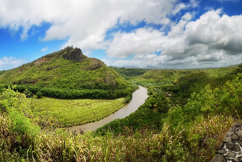 Havaj Kaukai