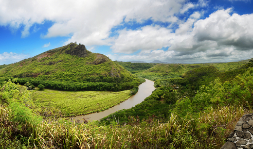 Hawaii Wailua River Valley, Kauai shutterstock_715782025.jpg