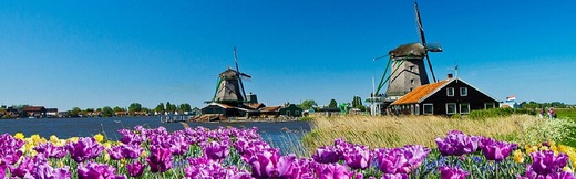 Keukenhof 1920x600 Stutt.jpg