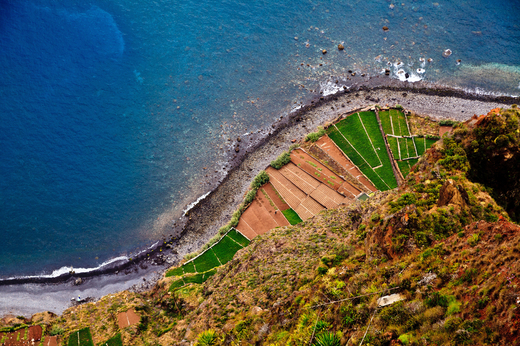 Madeira Fields under the Cabo Girão cliff, Madeira Island, Portu