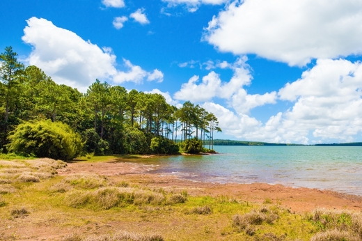 Mauricius Landscape of Mare aux Vacoas - the largest water reser