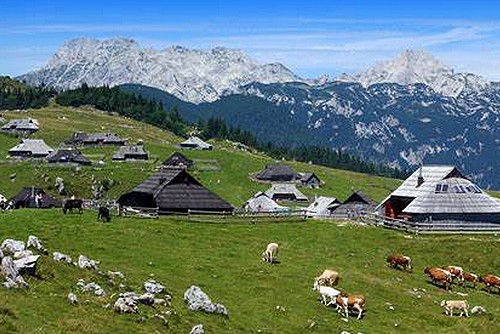 Slovinsko Velika planina 500x334.jpg