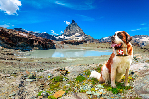 Svycarsko Saint Bernard Alpy Matterhorn shutterstock_1820010422.